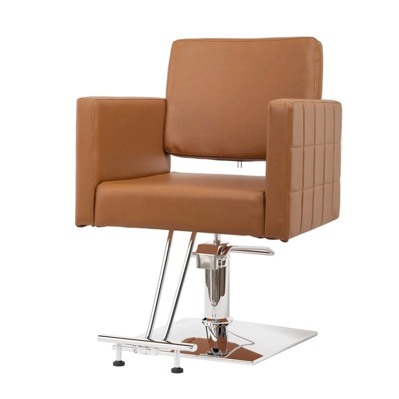 OmySalon PVC leather stainless steel foot operated for Salon Styling Chair, Hair Cutting Hairdressing Beauty Equipment - N/A